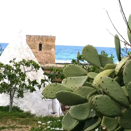 Trulli Magiche Serre